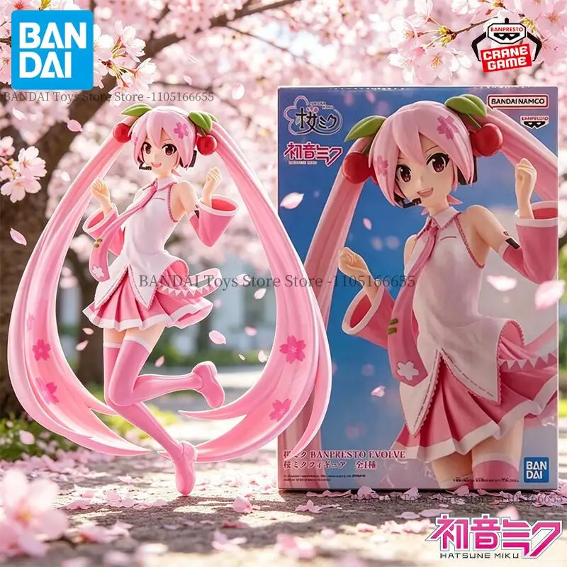 Bandai Original Banpresto Evolve Hatsune Miku Sakura Miku 23cm Figurines d'action Anime Figuras Poupées de dessin animé Modèles Statues Jouets Cadeau