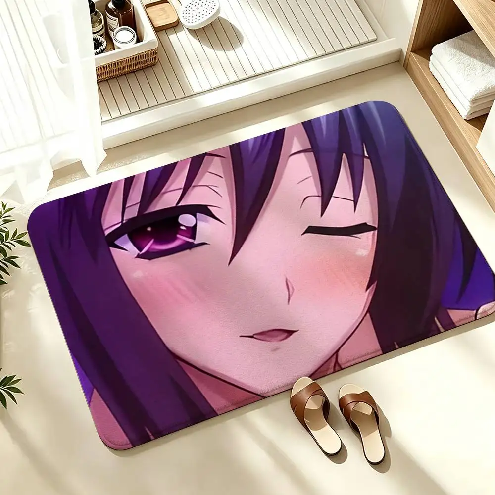 COOL H-High School DxD Akeno Himejima  Soft Absorbent Decorative Floor Mat for Bathroom Entryway Living Room