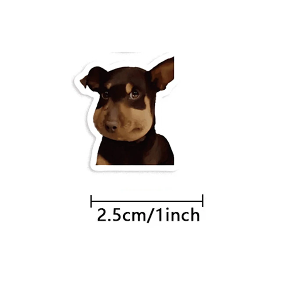 50-500PCS Cute Funny Dogs Cats MEME Stickers Roll Animal Cartoon Decals Toys Sealing Labels Kids Reward Stickers Gifts image 2