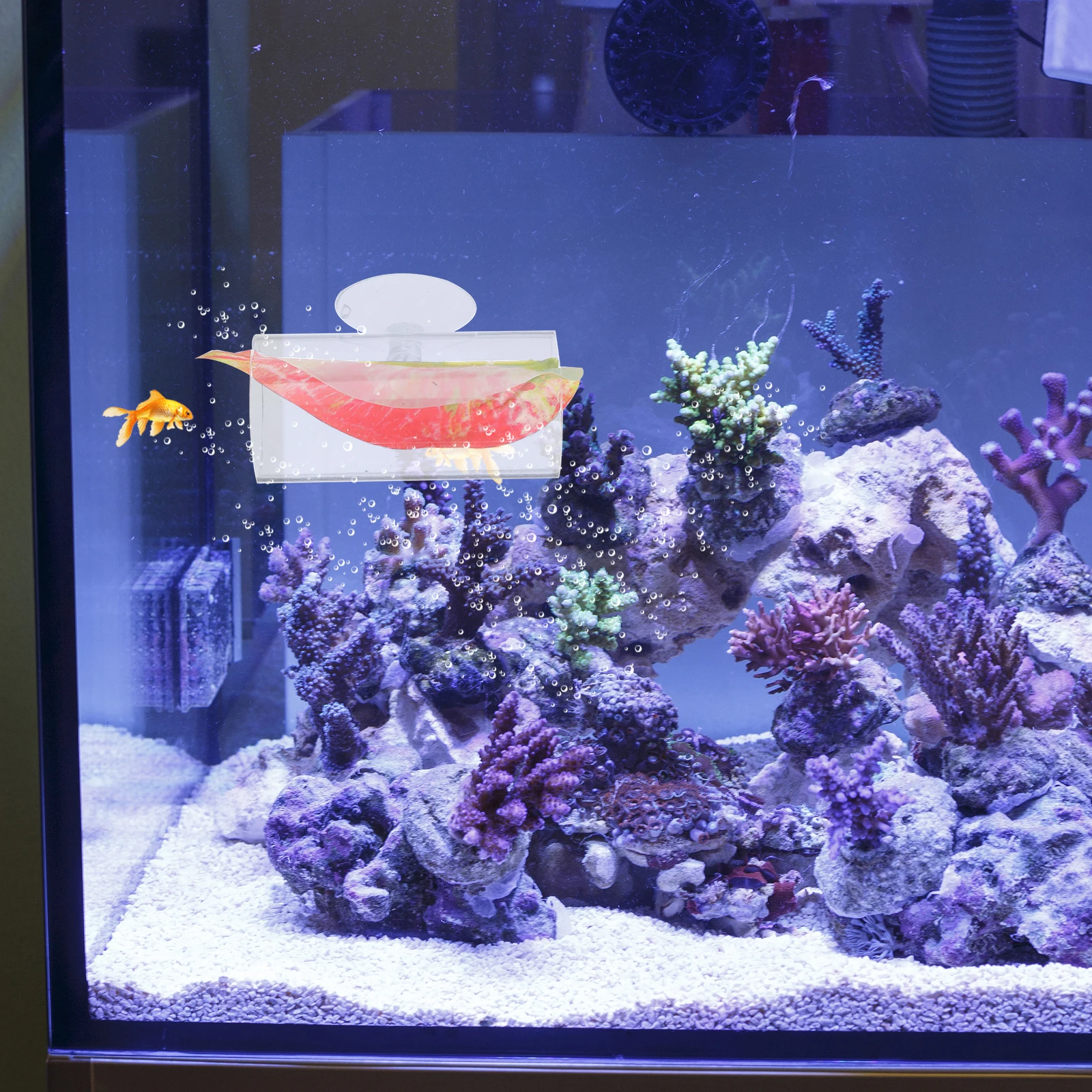 

Douyuwo Tunnel Aquarium Accessory Acrylic Fish Tank Bed Accessories Hideout Decor Ornament
