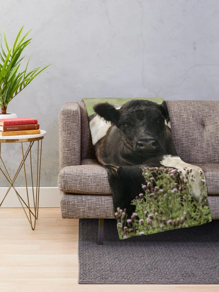 Belted Galloway Cows Throw Blanket Moving for winter Warm Blankets For Sofas Blankets