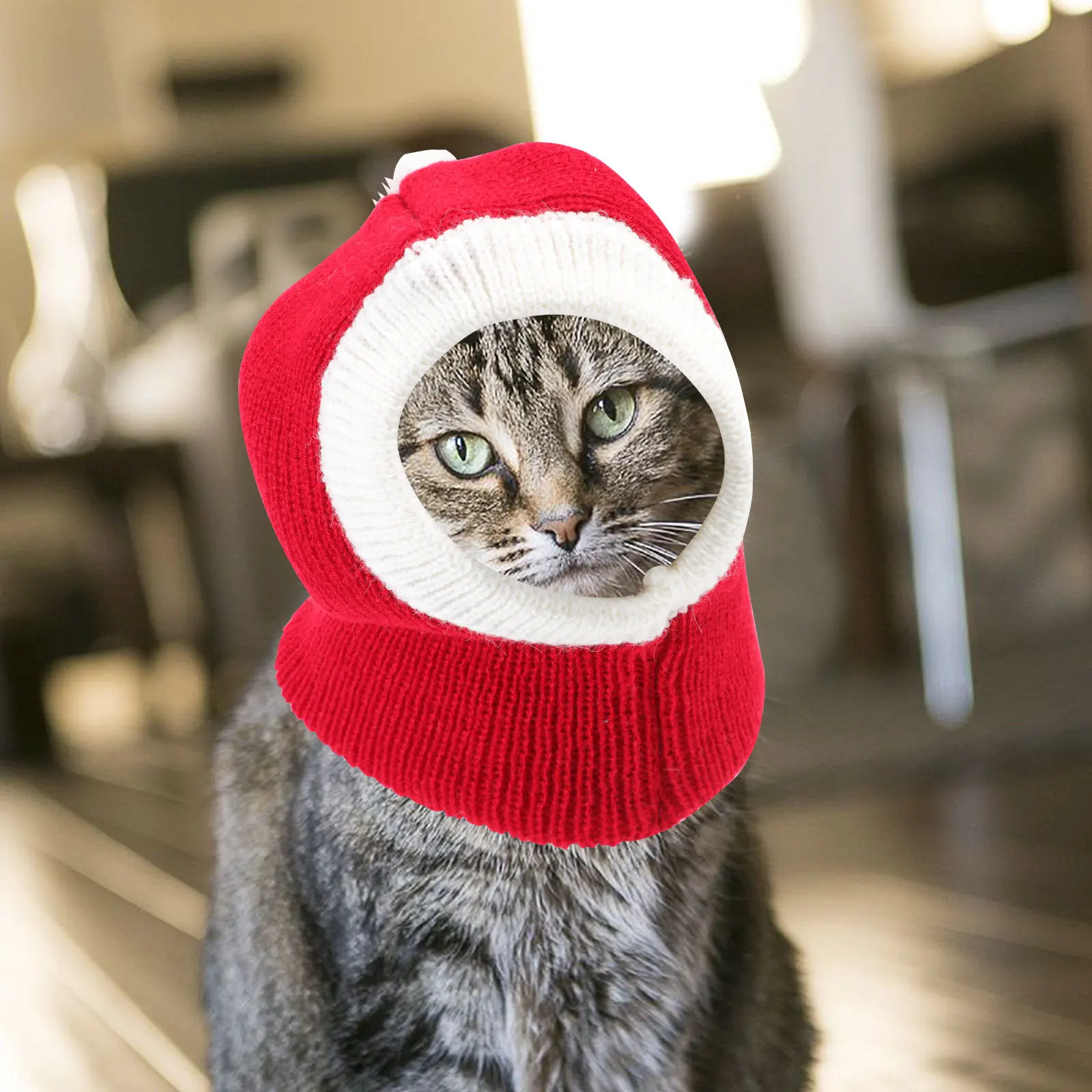 

Dog Winter Hats Accessories Holiday for Dogs Small Pet Christmas Decoration Cat