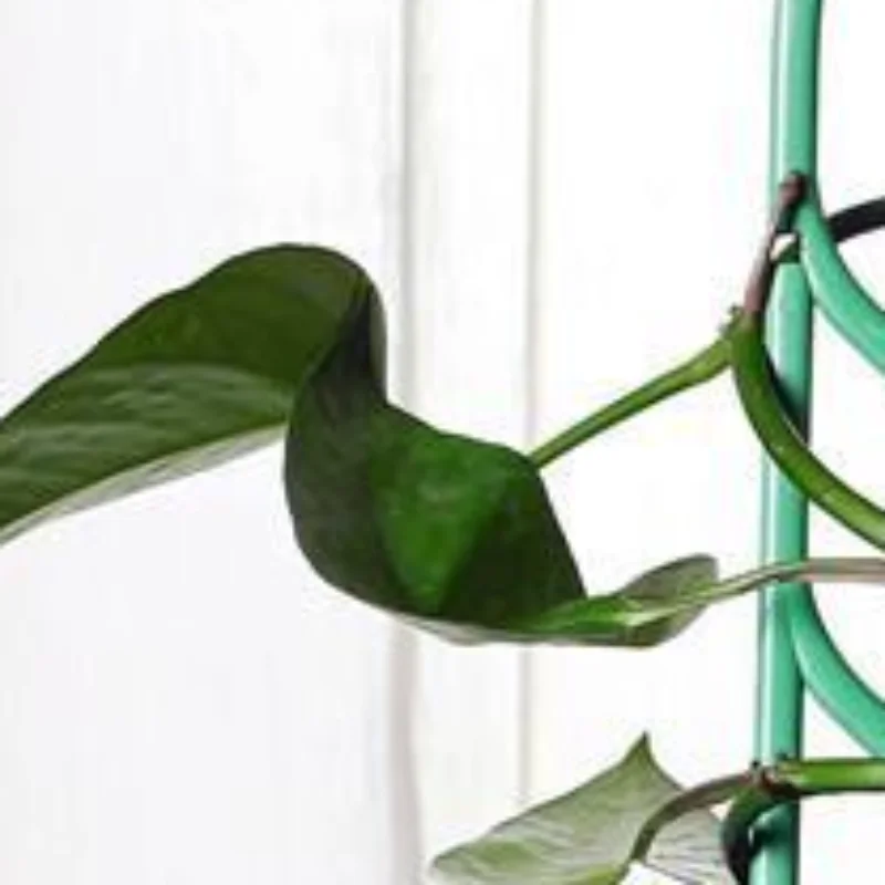 1/2/3Pcs Plastic Plant Support Pile Vines Climbing Stake Flower Potted Rack Fixed Rod For Greenhouse Arrangement