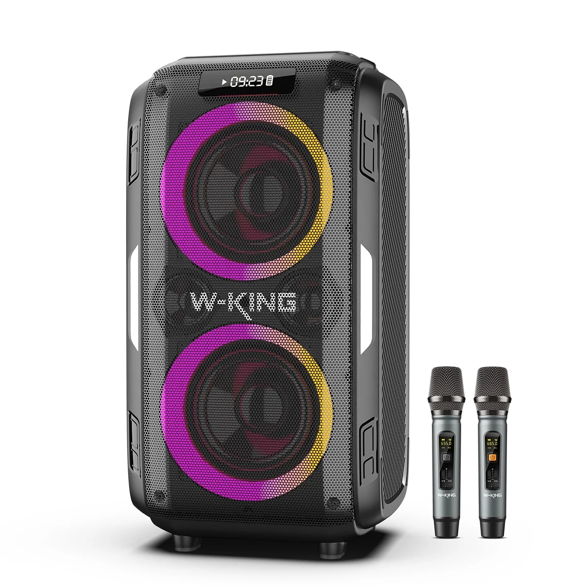 

Портативная Bluetooth-колонка W-KING T9Pro с прямой поставкой от производителя, выходной мощностью 120 Вт, RGB-подсветкой, микрофонами и пультом дистанционного управления