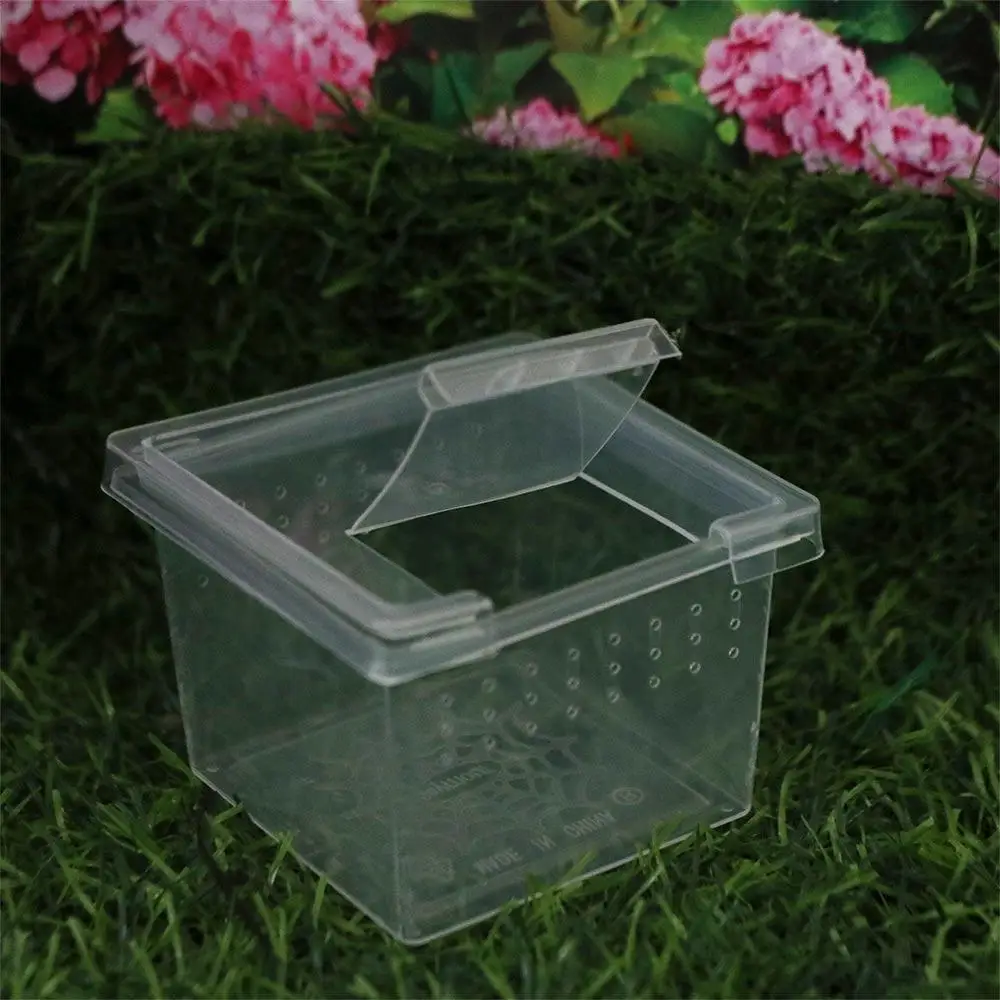 Household Plastic Reptile Accessories Lizard Living Box Hatching Tank Reptile Habitat Insect Feeding Box