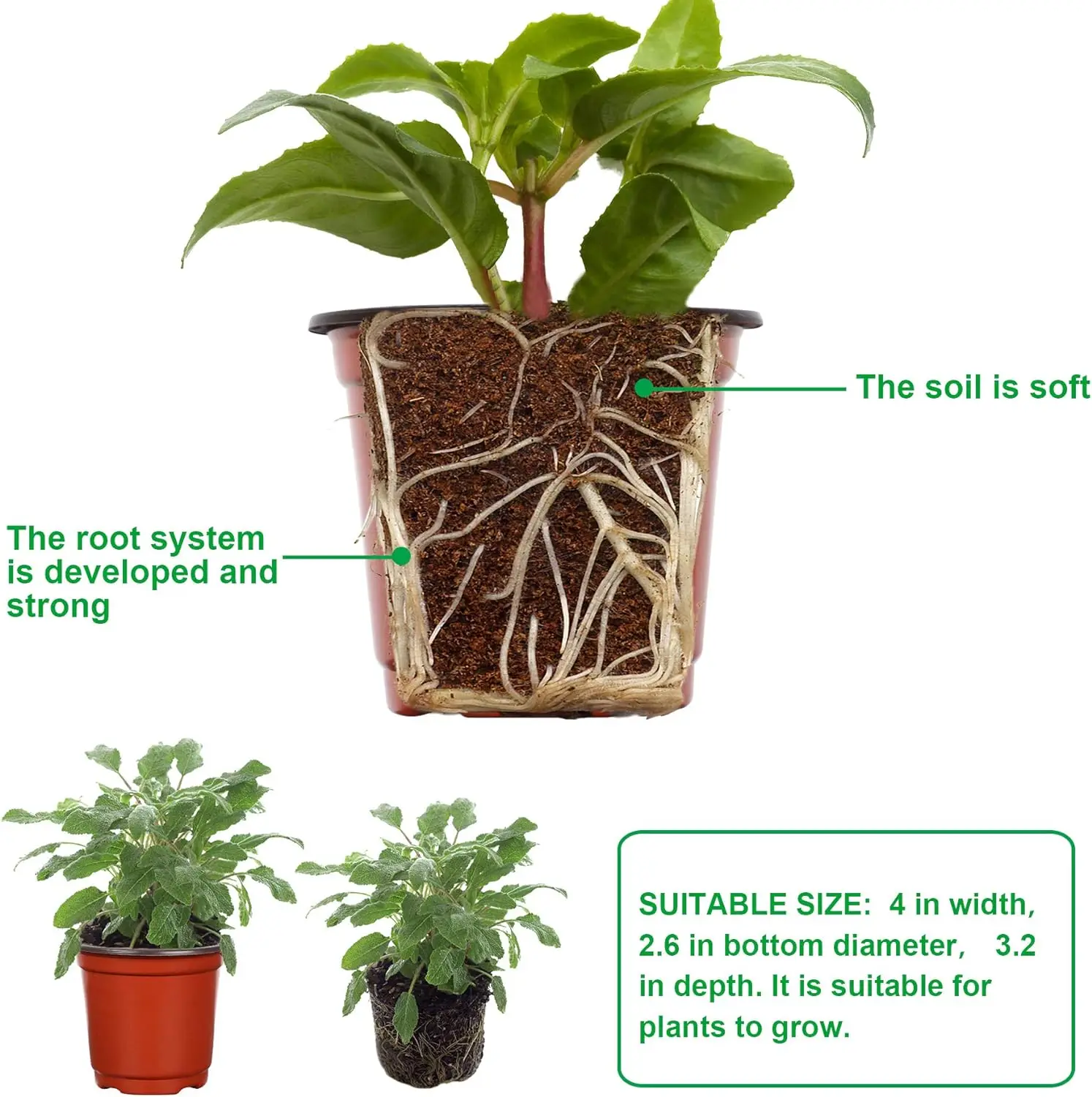 Plastic Plant Nursery Pot/Pots， Seedlings Flower Plant Container (Red) Seed Starting Pots Indoor Outdoor（50Pcs）