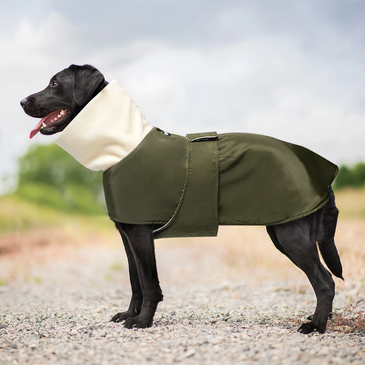 Winter Warm Dog Coat Fleece Big Turtleneck Collar Adjustable Magic Sticker Padded Pet Vest Thick Outfit for Large Medium Dogs