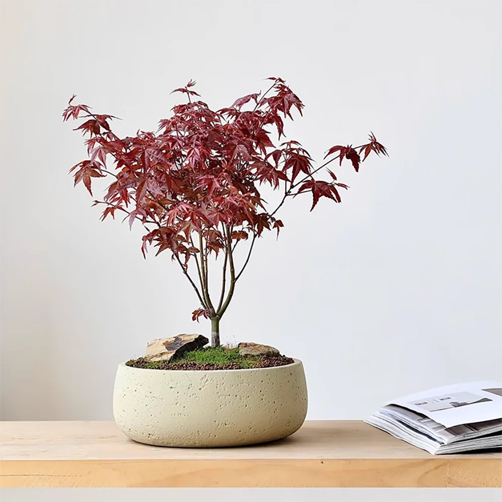 

Large Textured Concrete Planter Silicone Mold, Geometric Cement Flower Pot DIY Mold for Succulents Home Garden Decor