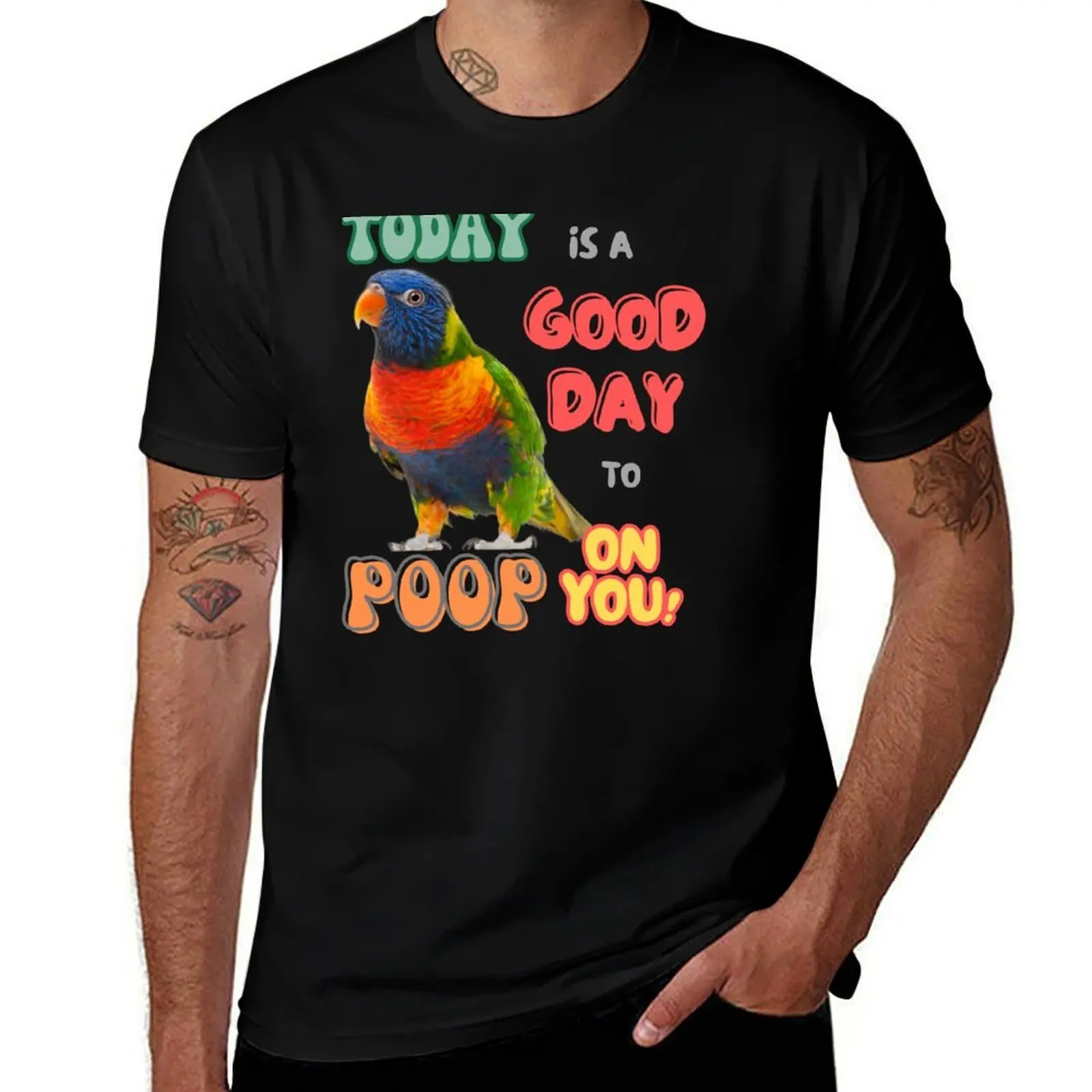 Rainbow lorikeet, Loriini bird, Small Parrot, Parakeet, Today is a good day to poop on you T-Shirt Big and Tall Crew Neck Tee