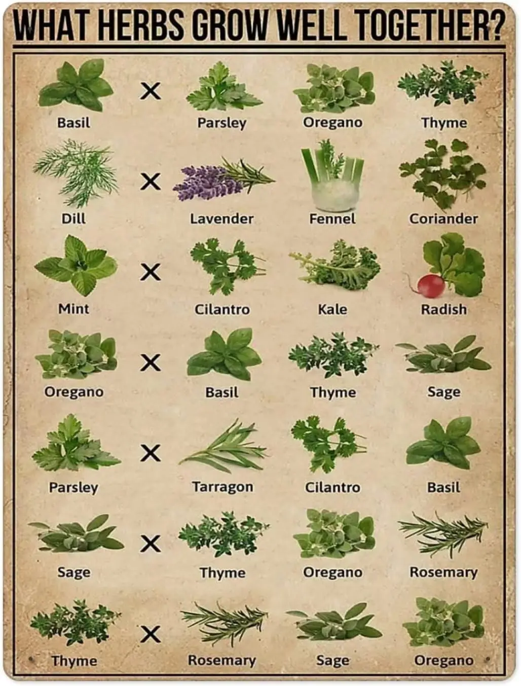 Knowledge Tin Signs What Herbs Grow Well Together Bathroom Wall Decoration Poster Tin Sign Home Kitchen Infographic Restaur sign
