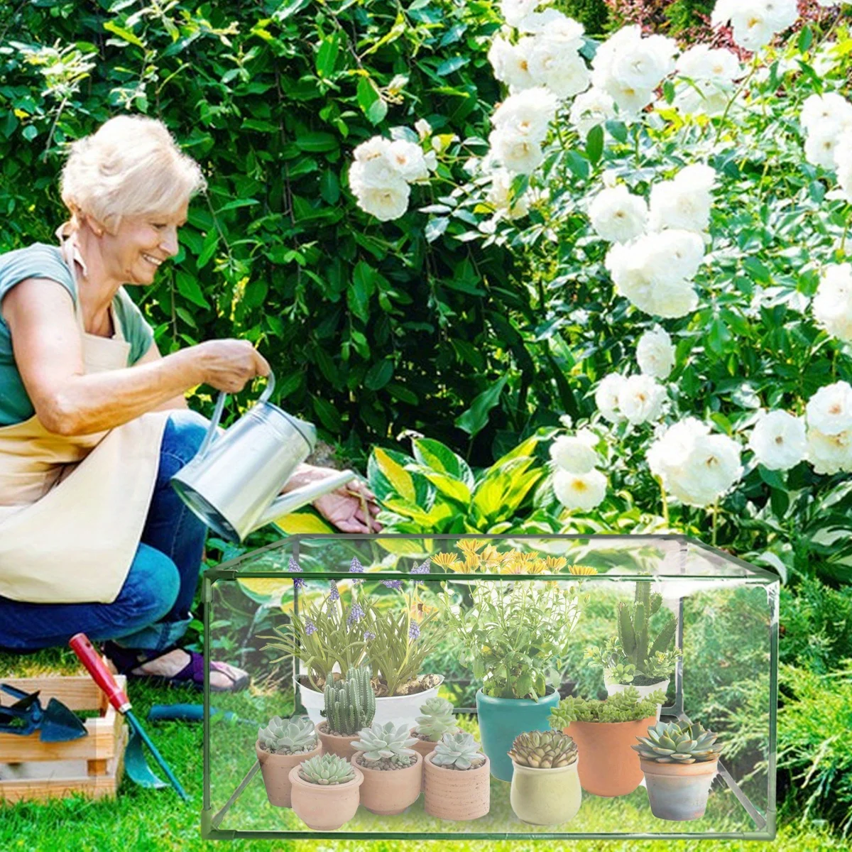 

Garden Mini Greenhouse Heavy Duty Portable Clear Tent Small Plants Tabletop Grow House Transparent PVC Cover Warm Winter Protect