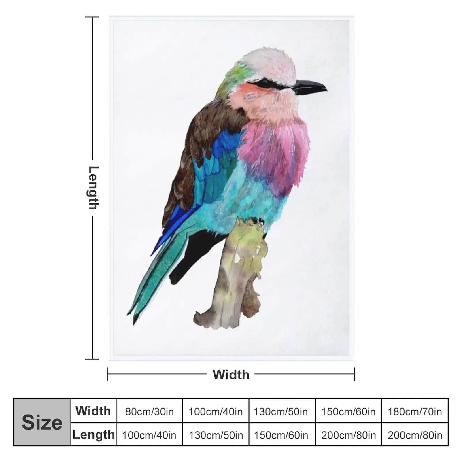 New Lilac Breasted Roller Bird Throw Blanket For Sofa Thin Blankets Sofas Of Decoration Furry Soft Blankets