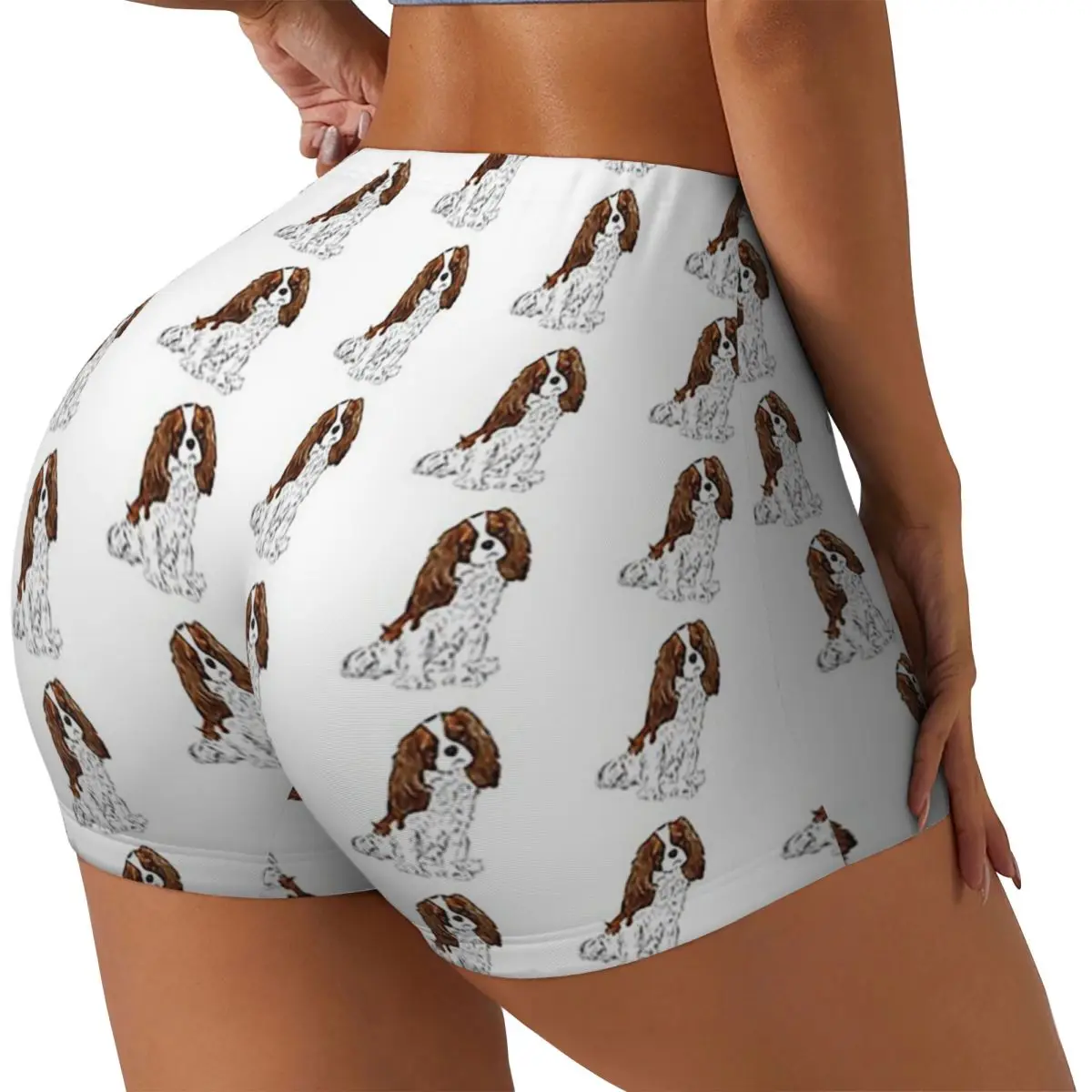 

Изготовленные на заказ кавалер-кинг-чарльз-спаниель-Blenheim, женские шорты для бега в тренажерном зале, спортивные шорты для волейбола, байкера, йоги