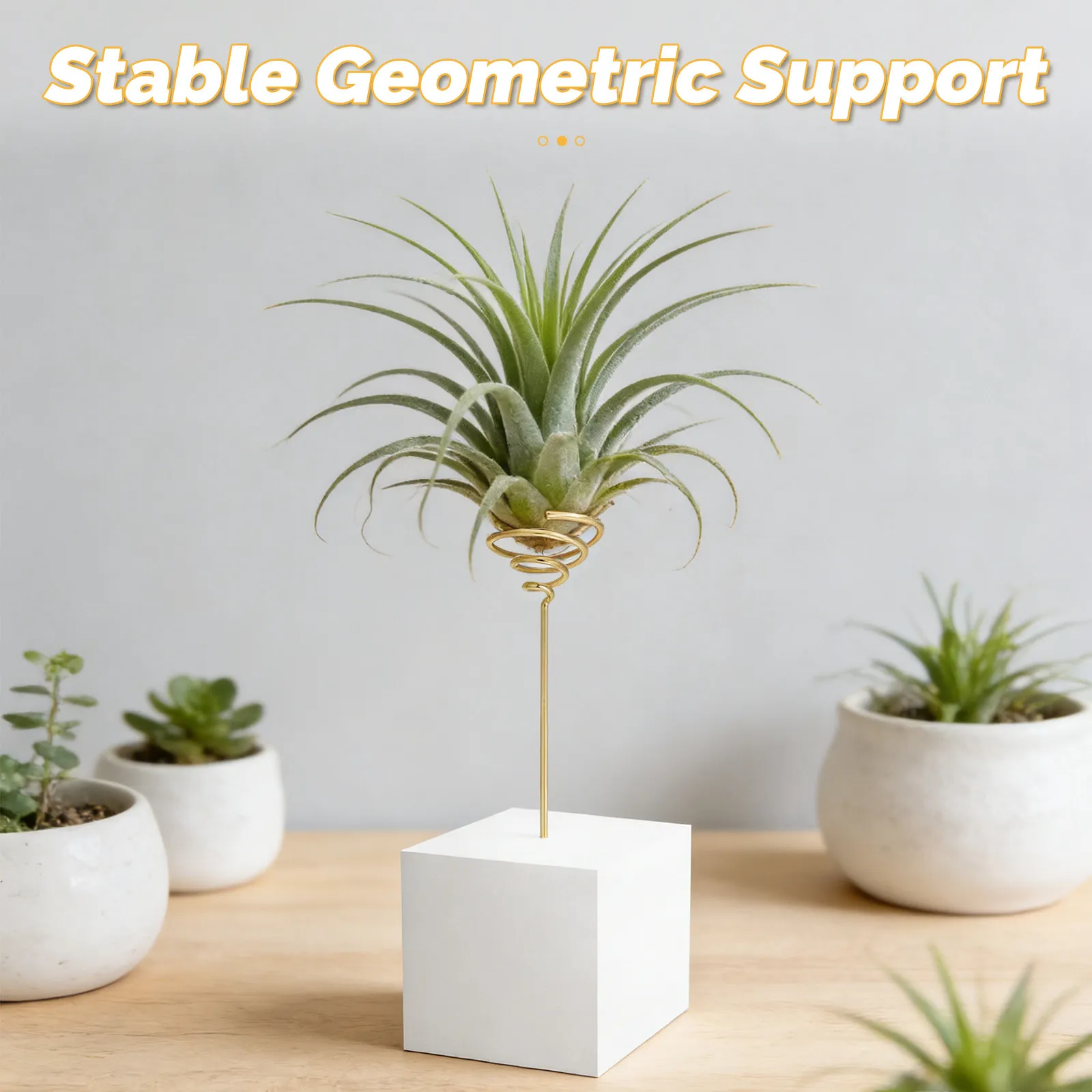 6Pcs Geometric Air Plant Holder Metal Electroplated Spring Base Desktop Wall Air Plant Display Stand Tillandsia Rack