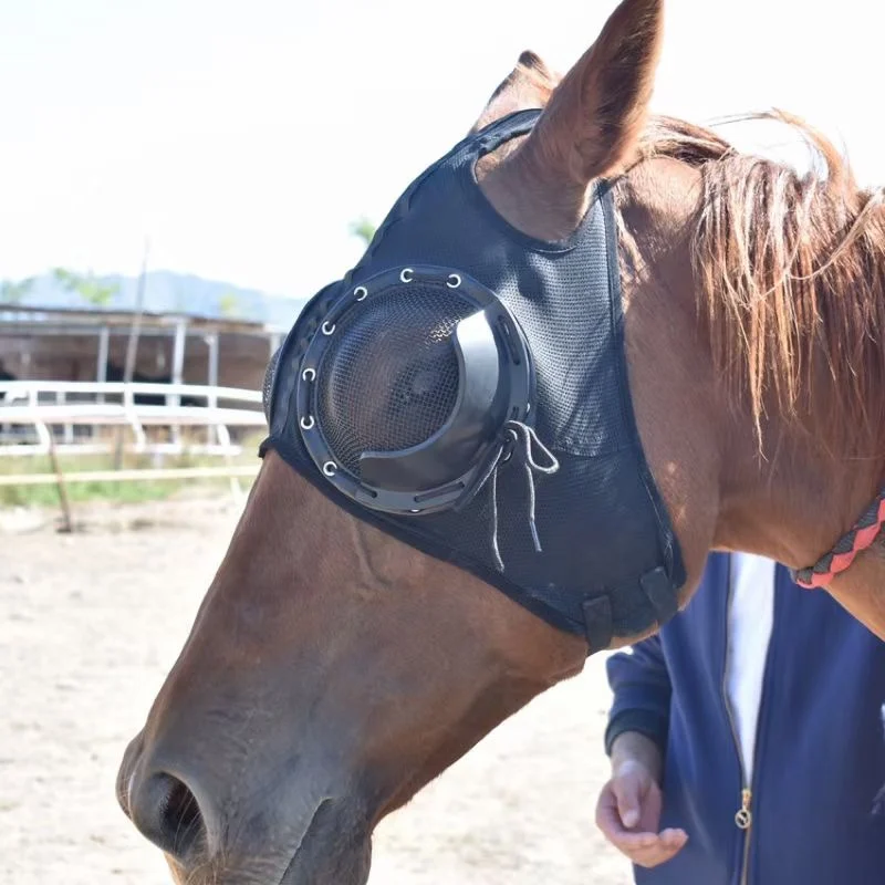 Maschera per gli occhi da corsa per cavalli, maschera per gli occhi antivento, maschera per gli occhi da corsa veloce con maschera per gli occhi in rete per prevenire il tracomoma