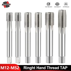 Thread Tap M12-M52 Right Hand Machine Plug Tap Metalworking Screw Metric Tap Drill Hand Tools