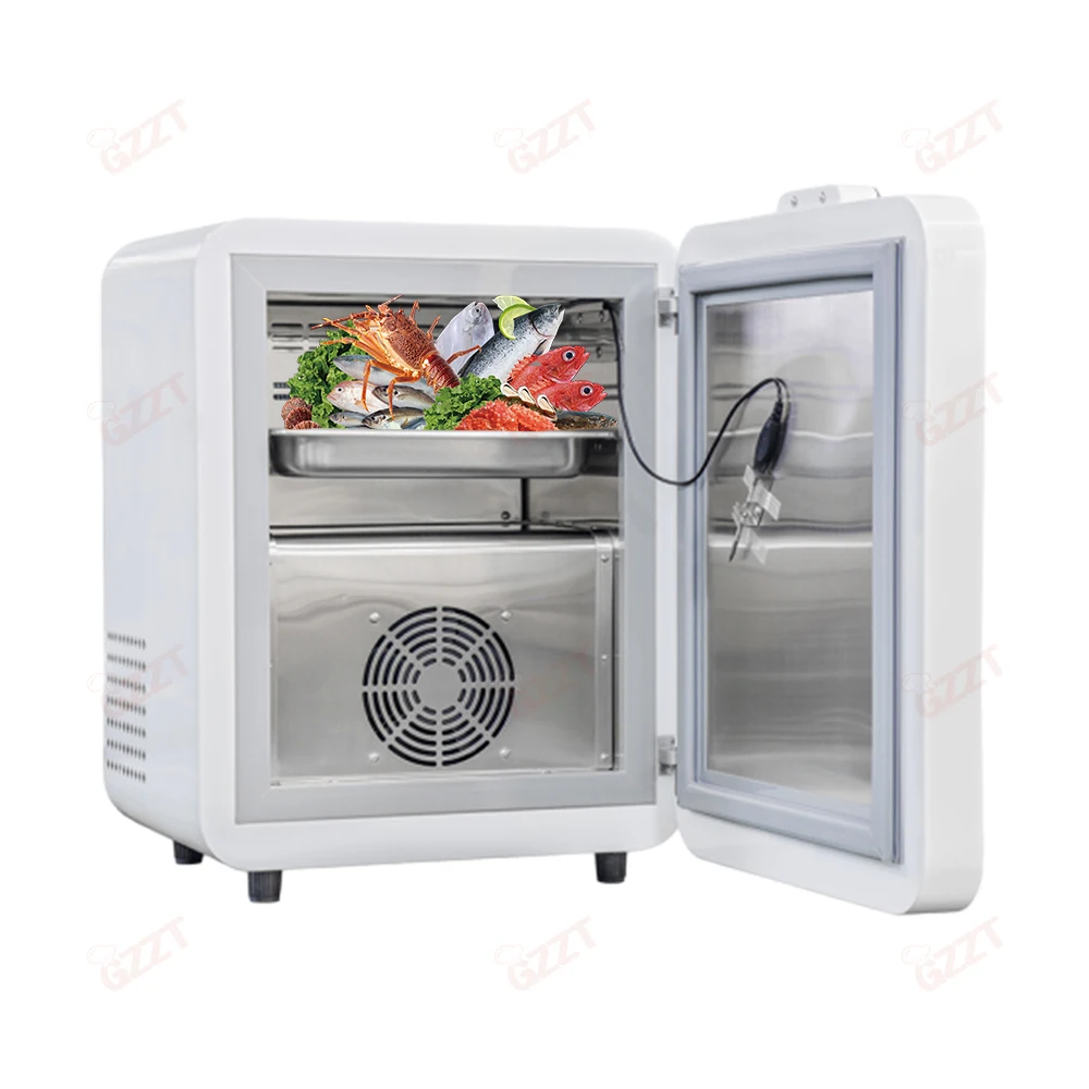 Small Size Shock Blast Freezer Chiller Compact Blast Chiller Chocolate Tuna Ice Cream Individual Quick Home Mini Iqf Freezer