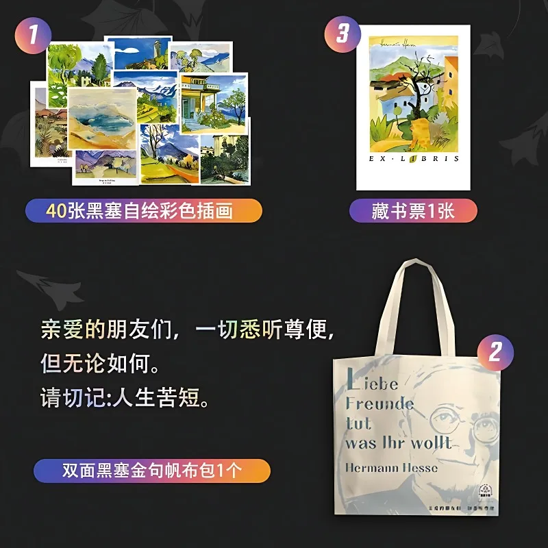 5 Books The Long Summer Hesse Collection Genuine World Classic Novel Book