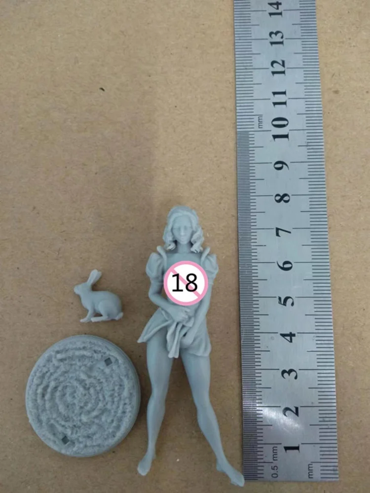 Zestaw Modelarski Figurki Księżniczki i Królika Nsfw DIY z Żywicy, Skala 1/24, Niemalowane, Niezmontowane, Zabawka 3D