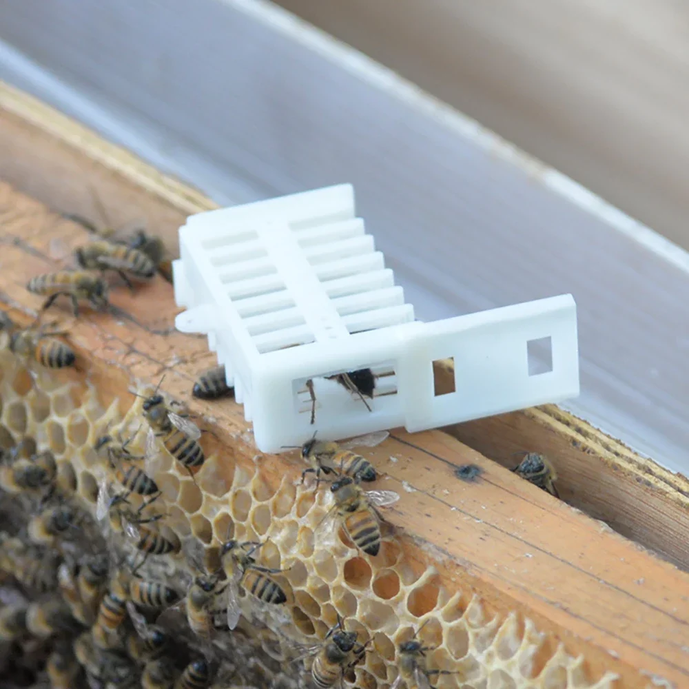 10/20PCS beekeeping appliance plastic multifunctional king cage, general king cage, Beekeeping Farm Tools Supplies.