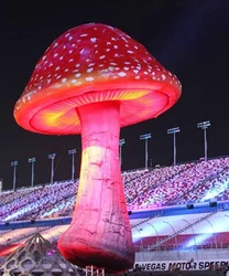 Mushroom New Product Giant Inflatable Mushroom With Led Light And Blower For Outside Christmas Party Stage Event Decorations