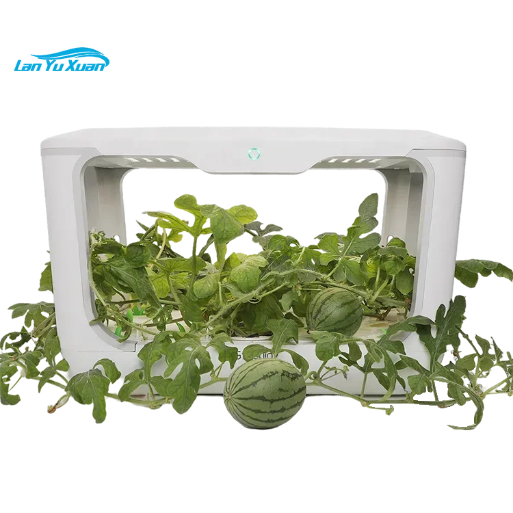 Indoor Hydroponic Automatico Grow Box Smart Mini  House boxcomplete