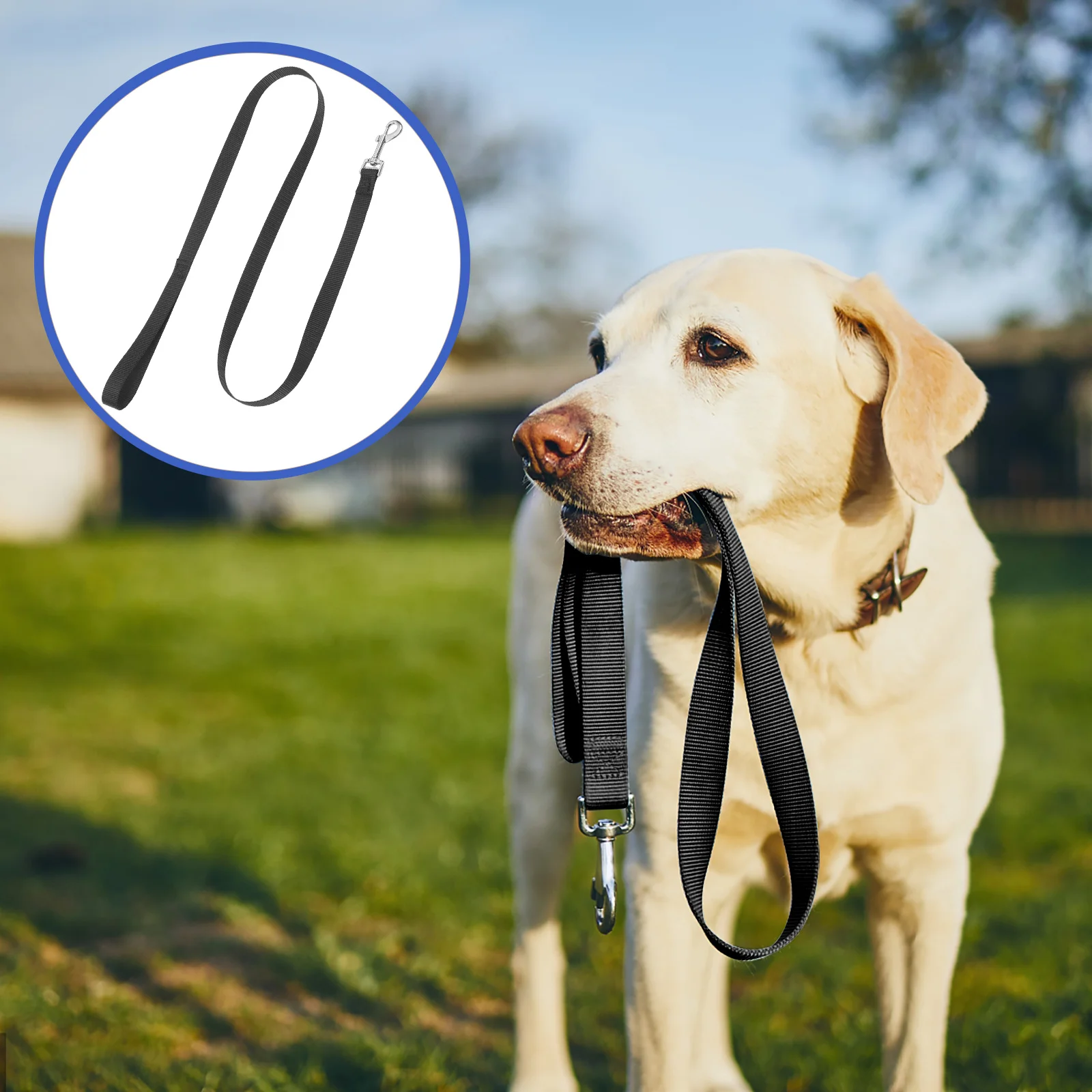 

Sturdy Nylon Dog Traction Pet Strong Long Leash Walking Running Training Lightweight Portable For Small Medium Large Dogs