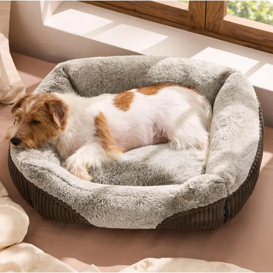 

Washable Dog Bed Small Medium Size Dog Rectangle Fluffy Plush Pet Bed Puppy Bed, Comfy Corduroy Fleece and Nonskid Bottom,25x21x