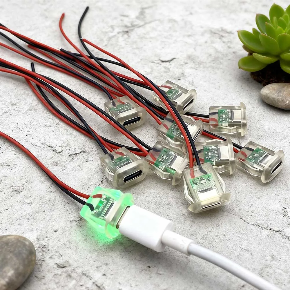 2Pin Type-C Female Socket,Transparent Housing LED Indicator Charging Port,DIY Replacement Charger Connector for Small Appliances