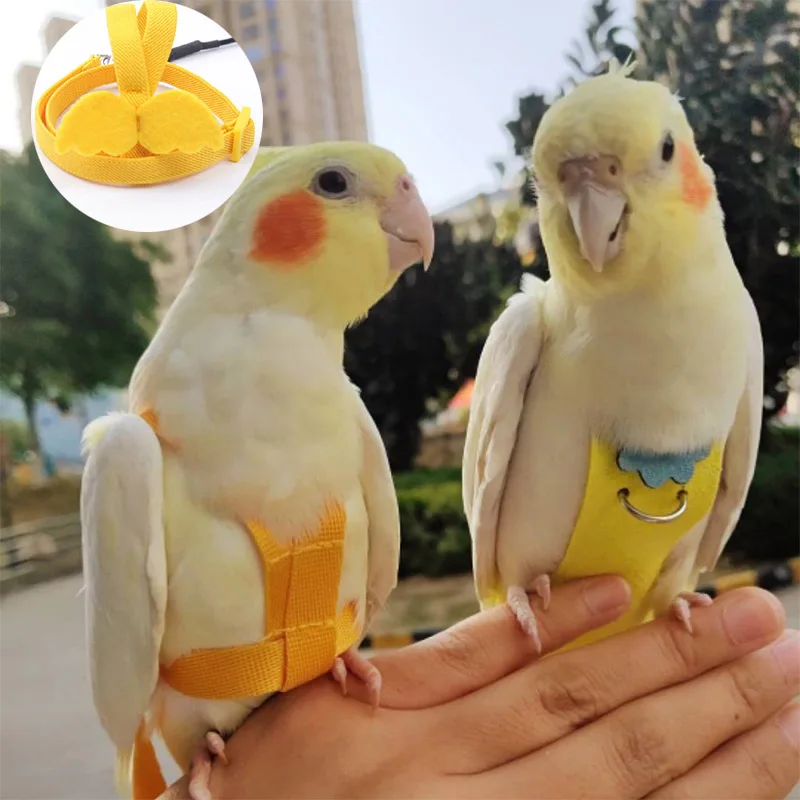 Harma for Parrot Birds Harness Macaw Harness Leash Bird Strip for Parrot Budgie Harness NXLYP01