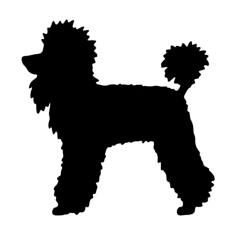 

Poodle Dog Cute Animal Vinyl Decal Classic Creative Cartoon Car Sticker 12.4*12.7CM,KK