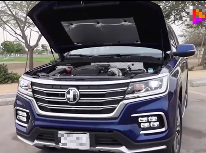 

2 шт. демпфер капота для Roewe RX8 (IS21) MG RX8 2018 2019-2024 2025 передние газовые стойки капота, подъемная опора, амортизатор, поршневые стержни