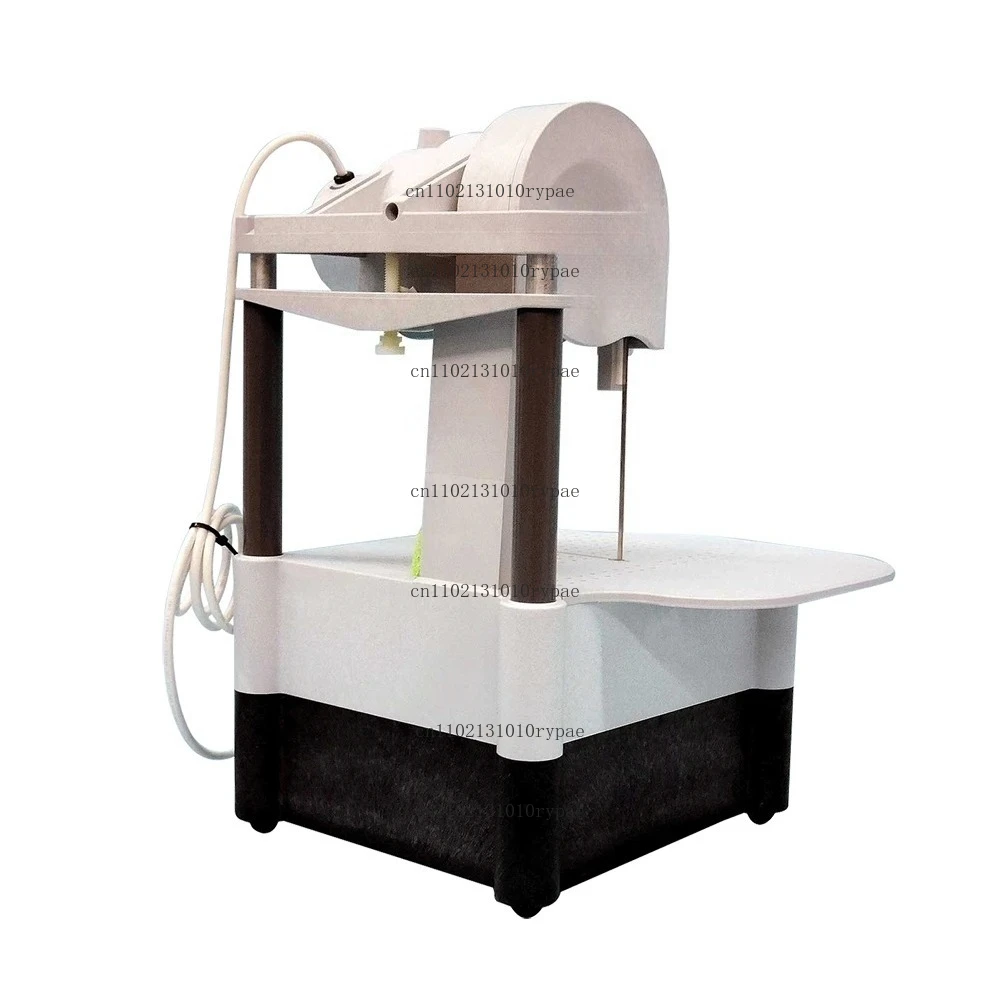 230V C-40 CR Tall Diamond Band Frag Saw AquaSaw XL with 42