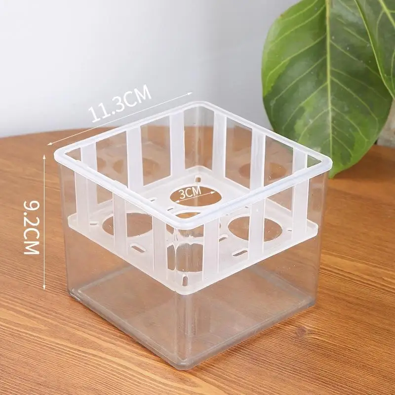 Tulip Grow Kit Acrylic Basin Root Check Strong Stable 4 5 Hole Basket Bulb Care Simple Indoor Decor Hydroponic Planter