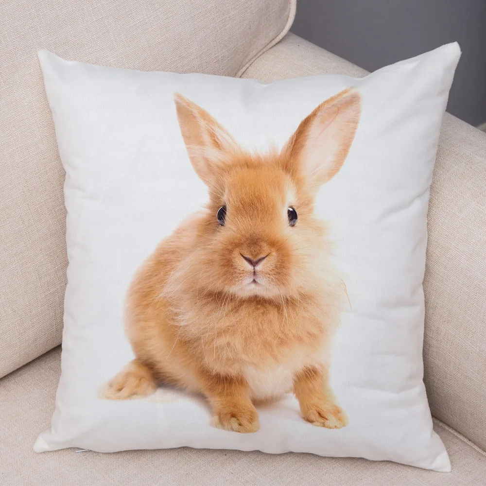 Home Decor Cute Rabbit Pillowcase Sofa Children's room  pet animal print cushion covered with polyester pillowcase 45x45cm