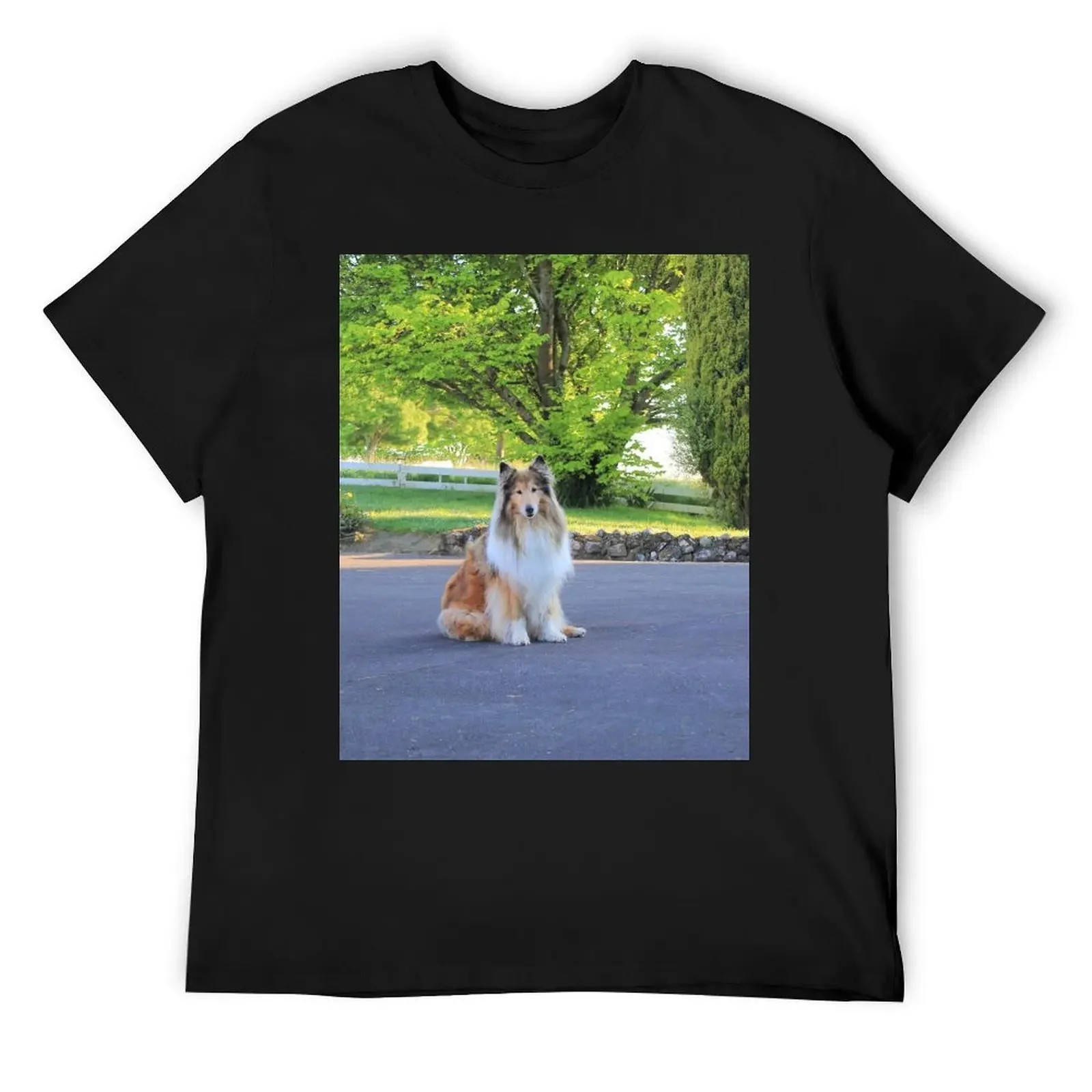 Sitting Rough Collie T-Shirt sublime Aesthetic clothing men clothing