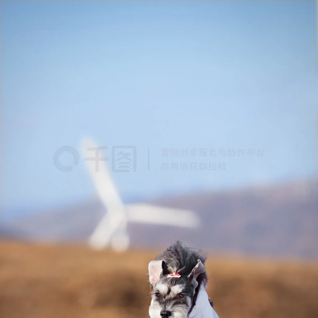 Водонепроницаемый сервопривод, высокоскоростной DS3218, 20 кг, 180/270 градусов, цифровой сервопривод Baja Servo с металлическим рычагом для радиоуправляемых автомобилей 1/8 1/10