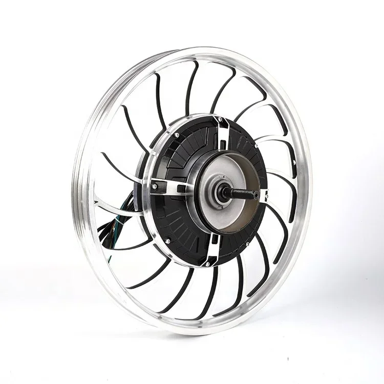 20 Inch 48V 1000W BLDC Drum Brake Skateboard Electric Tricycle Rickshaw Rear Ebike Bike Bicycle Hub Motor