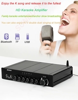 SUNBUCK TPA3255 2.0 Stereo 300W Home Karaoke OK Amplifier TPA3255 Bluetooth 5.0 TF USB Class D HIFI Amplifier