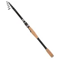 Spinning Rod