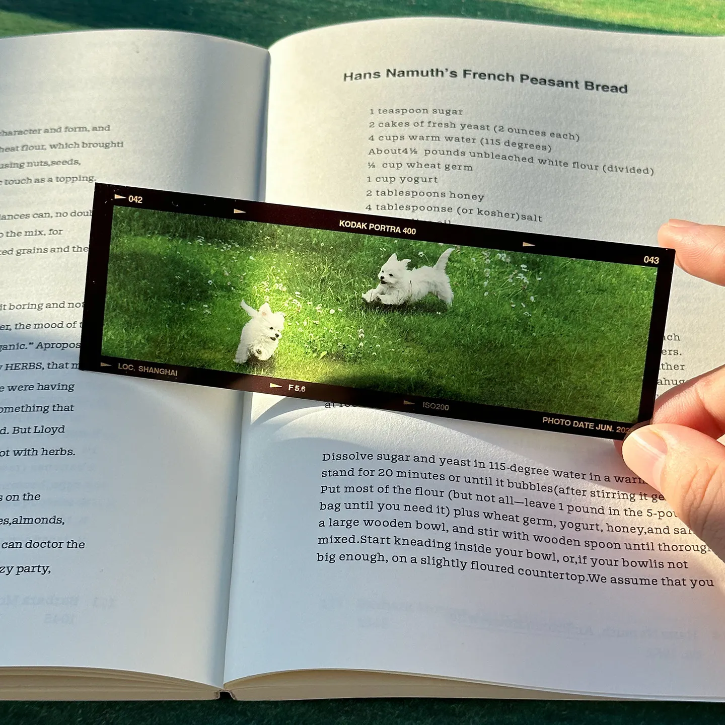 영화 북마크 수제 빈티지 예술적 오리지널 아이슬란드 웨 - Photography Of Book 리뷰 및 가격