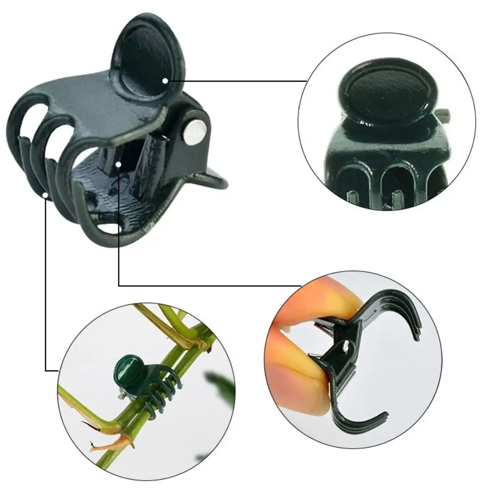 Orchid Flower Support Plant Clips Vine Grafting 6-Claw Orchid Clips Plastic Supplies Garden Tools Butterfly Clamp