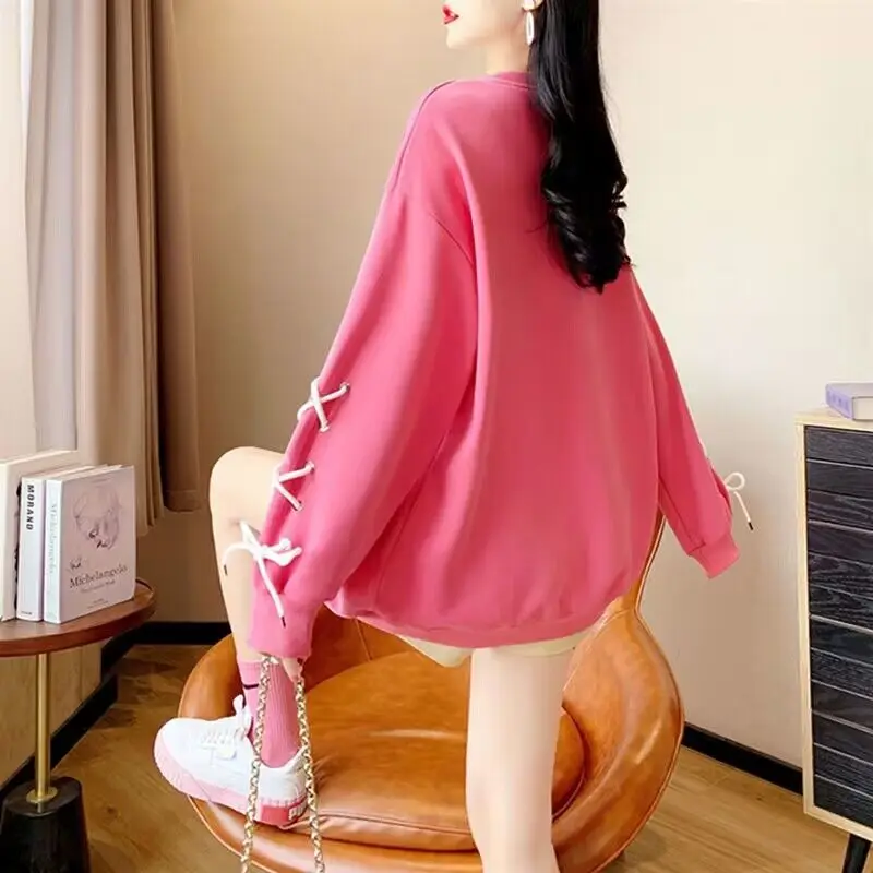 Rabbit Fleece Hoodies 2025 New Oversized Women Casual Sweatshirt Autumn Winter Long Sleeve Fleece Hooded Female Pullovers Tops