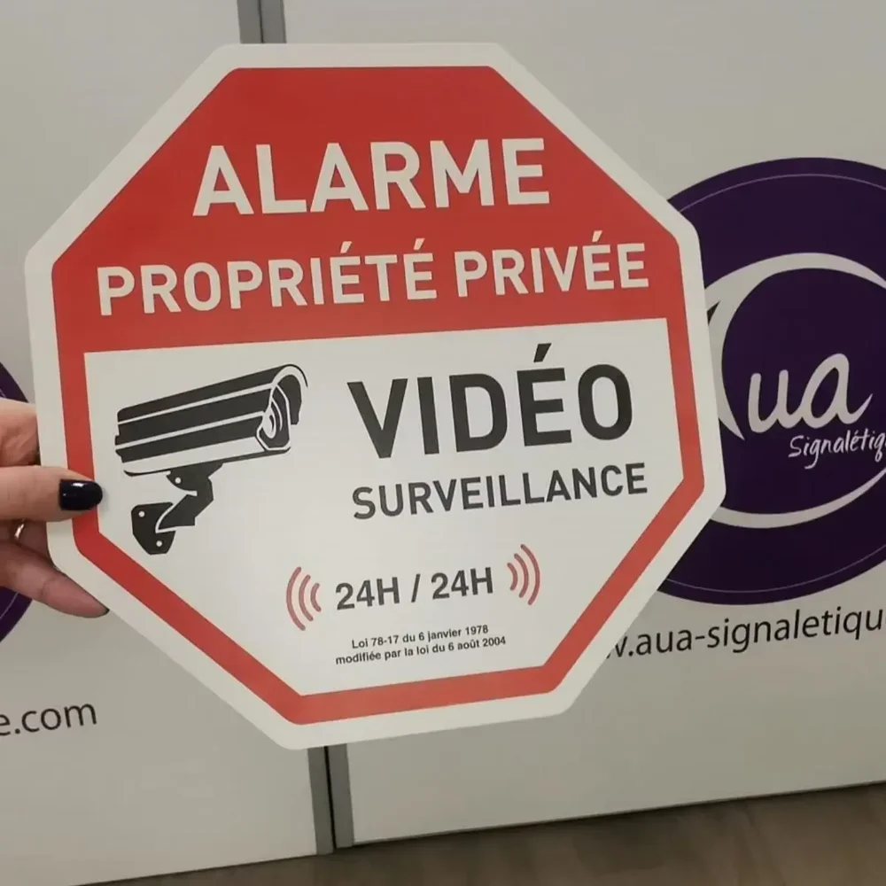 لافتة أمان إنذار الفيديو - المهمة الخاصة، لا أدخل، لا توقف السيارات - انتبه الكلب، لوحة معدنية للدوران