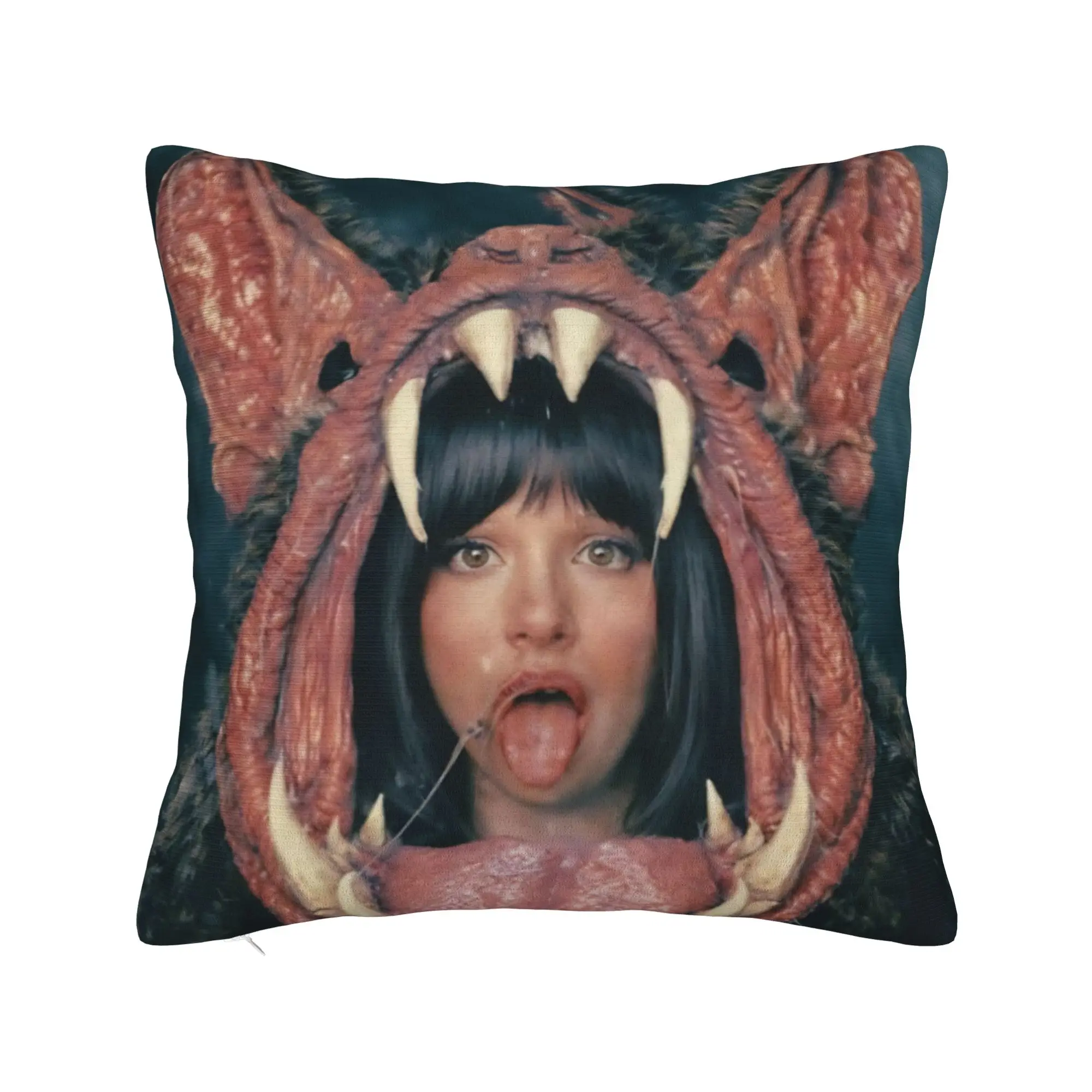 Decorative Pillowcases Melanies Martinez Hades Album 2026 Accessories Chair  Throw Pillow Case Cover Square Multiple Sizes