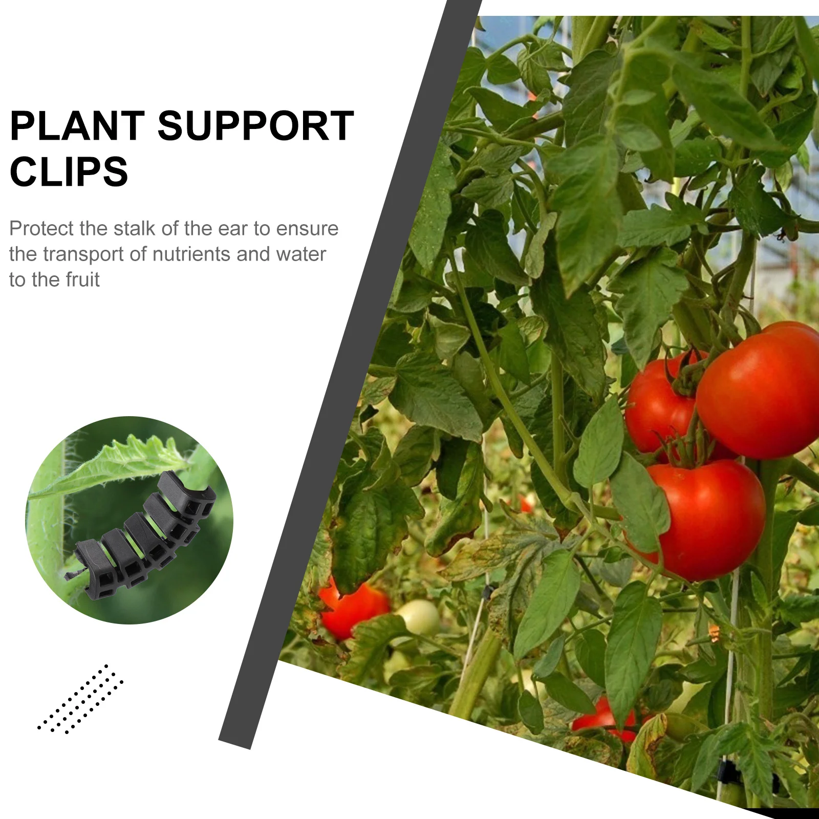 

100Pcs Plastic Tomato Trellis Clips Plant Bender Easy Fasten Clips for Vegetables Vine Support Gardening Plant Fixing