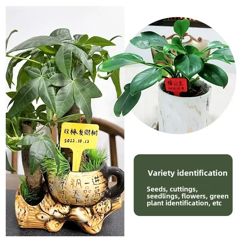 100/50Pcs Garden Labels Plant Waterproof Classification Sorting Sign Tag Ticket Plastic Writing Plate Board Plug in Card