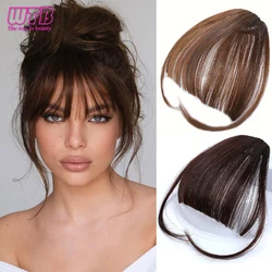 Fringe Bangs Synthetic Hair Topper Extensions Clip In Brown False Hairpiece with Temples for Women Short Styling Accessories