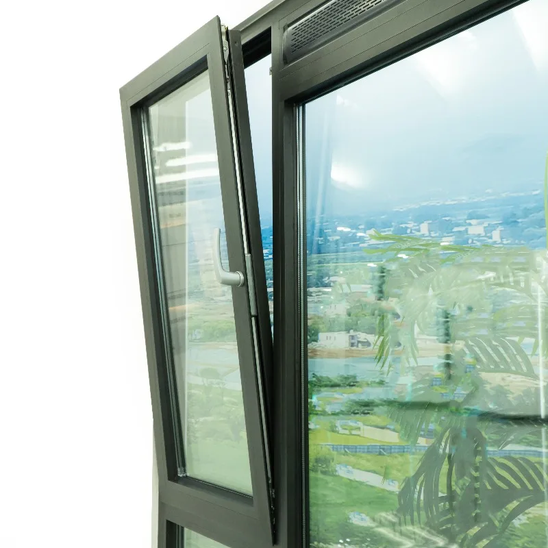 Customization Latest Burglar Proofing Double Glazed Glass Black Aluminum Alloy Windows Doors