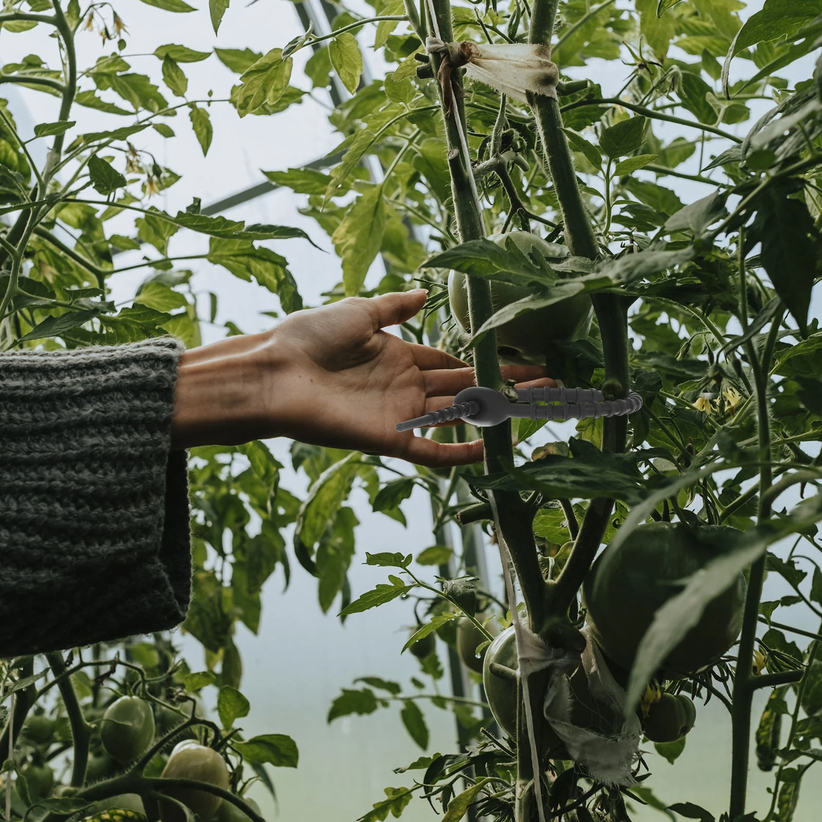 

24Pcs Silicone Cable Zip Ties Self-Locking Reusable Rubber Cord Management Strap Wire Organizer Desk Accessories